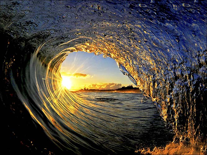 Surf Shak